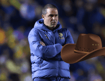 André Jardine, director técnico del América, durante un partido de la Liga MX. IMAGO7