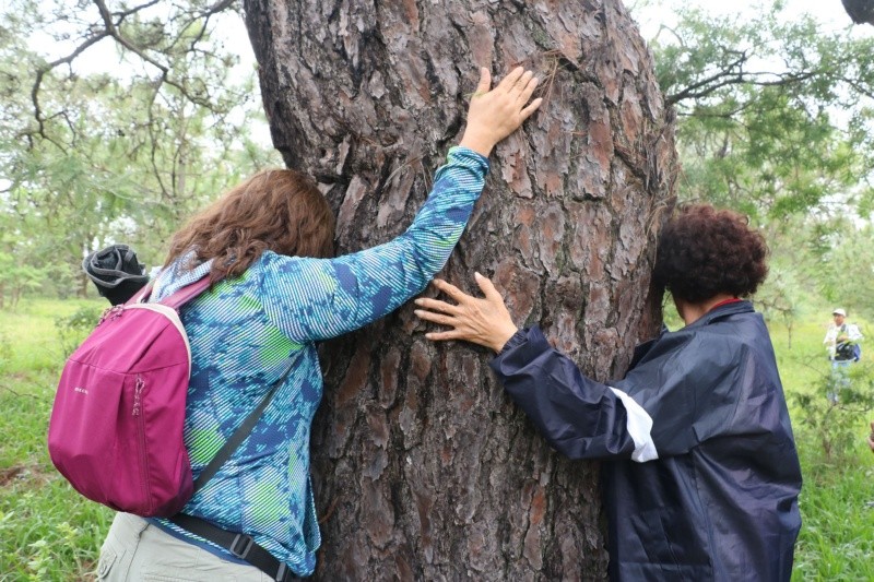 “La conservación de la biodiversidad no es un gasto, sino una inversión estratégica que permite la supervivencia de todas las demás actividades económicas”, resalto el biólogo Gerardo Ceballos. ARCHIVO/EL INFORMADOR