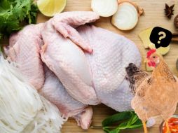 Es importante tener en cuenta los posibles riesgos asociados con su consumo excesivo, como desequilibrios nutricionales, problemas renales, y un aumento en la exposición a bacterias o antibióticos. CANVA