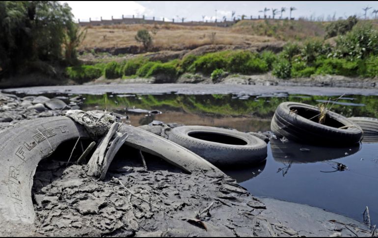 Se enfrenta un déficit financiero global de 700 mil millones de dólares en la conservación de la biodiversidad. EFE/ARCHIVO