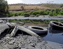 Se enfrenta un déficit financiero global de 700 mil millones de dólares en la conservación de la biodiversidad. EFE/ARCHIVO