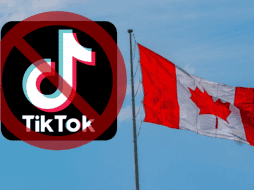 La plataforma de entretenimiento explicó que tiene 14 millones de usuarios en Canadá, lo que representa aproximadamente a un tercio de su población. ESPECIAL/Imagen de Jude Joshua en Pixabay