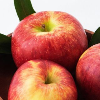 ¡Es tóxica! Esta es la parte de la manzana que debes evitar