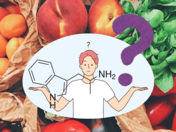 Sobre el triptófano, los Institutos Nacionales de la Salud de EEUU señala que es un elemento necesario para el crecimiento normal en los bebés y para la producción y mantenimiento de las proteínas. ESPECIAL/ CANVA