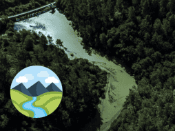 Una evaluación publicada en 