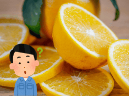 La cáscara de naranja aporta vitaminas y minerales. Pexels