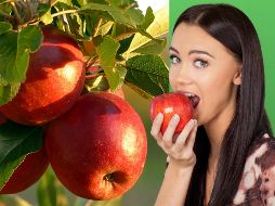 La manzana es una fruta accesible en casi todos lados, y es muy fácil de transportar, ya sea en una bolsa o mochila, rumbo al trabajo o la escuela. ESPECIAL / CANVA