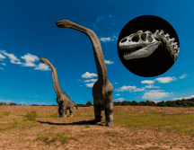 Este dinosaurio medía aproximadamente ocho metros de largo. Pixabay