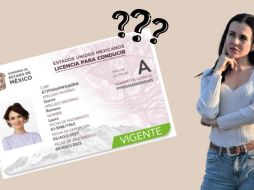 El grupo parlamentario del PRI presentó esta iniciativa. ESPECIAL / Gobierno del Estado de México / Unsplash y Canva