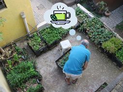 Conoce los beneficios de beber esta extraña infusión. EL INFORMADOR / ARCHIVO