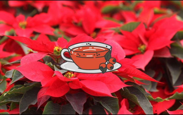 Se recomienda no beber más de 2 tazas al día. NTX / ARCHIVO