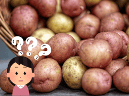 Previene el cáncer y el desarrollo de diversas enfermedades. Pixabay