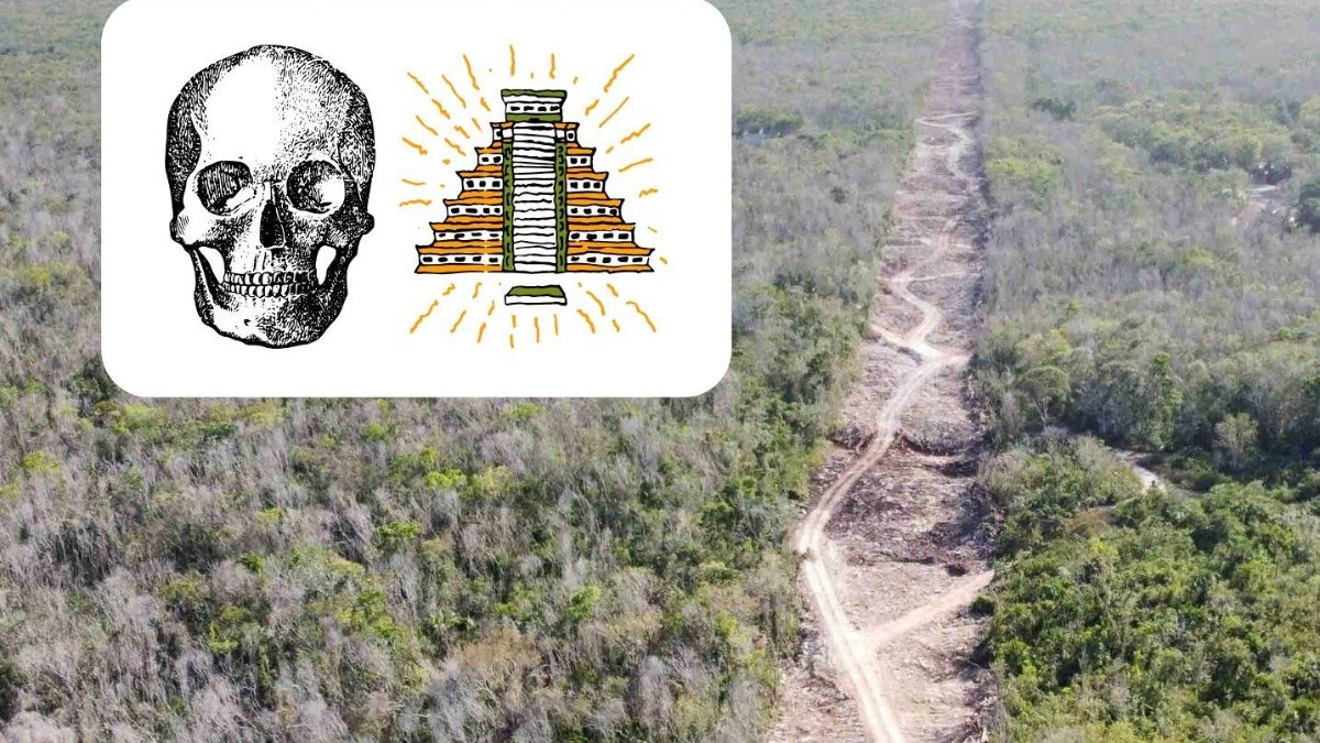 Esqueletos hallados en el Tren Maya revelan indicios de la vida en las culturas prehispánicas | El Informador