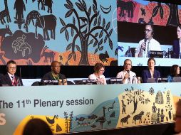 En una reunión del plenario de la Plataforma Intergubernamental Científico-Normativa sobre Diversidad Biológica y Servicios de los Ecosistemas (IPBES)se aprobó el “Informe sobre el cambio transformador”. EFE/IPBE/ Kiara Worth Iisd