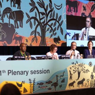 Expertos piden un cambio urgente para salvar biodiversidad en la Tierra