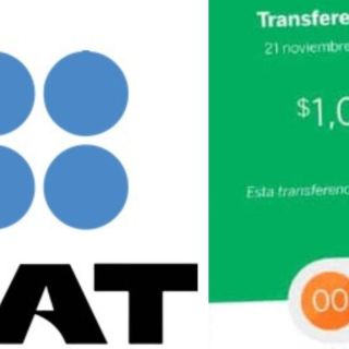 Palabras que debes evitar para no meterte en problemas con el SAT