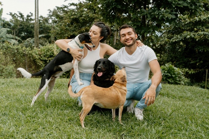 Independientemente de si tu perro finge o no una enfermedad, es importante darle los cuidados y la atención necesaria para que lleve un ritmo de vida saludable. PEXELS/ George Chambers&nbsp;