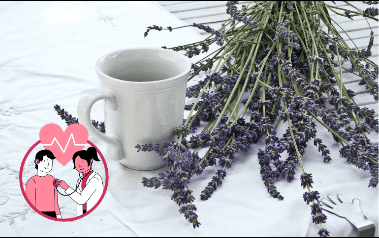 Se recomienda tomar el té antes de acostarse a dormir para mejorar el sueño. ESPECIAL/Imagen de gefrorene_wand en Pixabay