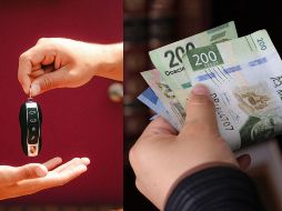 Entender sus diferencias ayuda a los propietarios de vehículos a cumplir con sus responsabilidades y evitar sanciones. CANVA