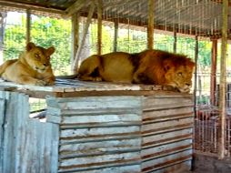 Las autoridades realizaban recorridos de vigilancia en el poblado denominado El Cedro del municipio de La Huerta. ESPECIAL / FGR
