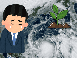 En 2021, la Tormenta Tropical Zeta se convirtió en Huracán, cerca de la península de Yucatán. AP / CANVA / ARCHIVO