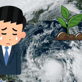 Huracán Milton causó pérdidas de 190 millones de dólares en la agricultura de Florida