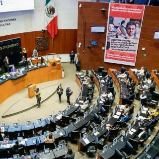 Senado prepara reforma para la venta de drones