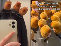 Un ejemplo notable de su impacto cultural es su aparición en videojuegos como Animal Crossing, donde son percibidos como criaturas encantadoras y singulares. 
 TIKTOK/nezusam