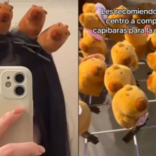Esta es la razón de que los capibara se hayan hecho virales en redes sociales