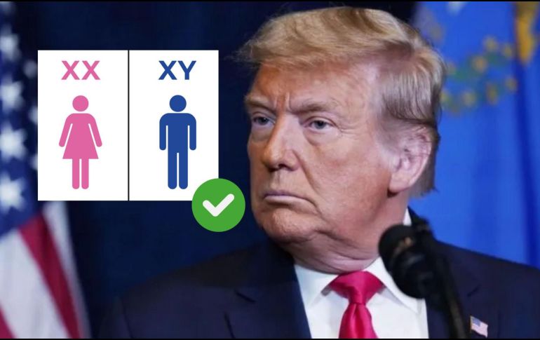 Excluir a las personas transgénero del ejército y de las escuelas de nivel básico y medio.
Impedir la participación de hombres en deportes femeninos. AP/ARCHIVO