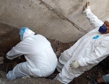 Según las integrantes del colectivo, los cuerpos estaban seccionados, razón por la que confirman que se trató de dos cuerpos encontrados. CORTESÍA