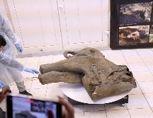 Foto suministrada por el Museo de Mamuts en la Universidad Federal del Nororiente de Rusia, que muestra a científicos con los restos preservados del mamut. AP