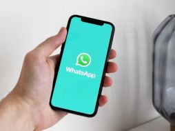 Ahora es más sencillo digitalizar tus identificaciones, el CURP, acta de nacimiento o tu licencia de conducir con WhatsApp. Pixabay
