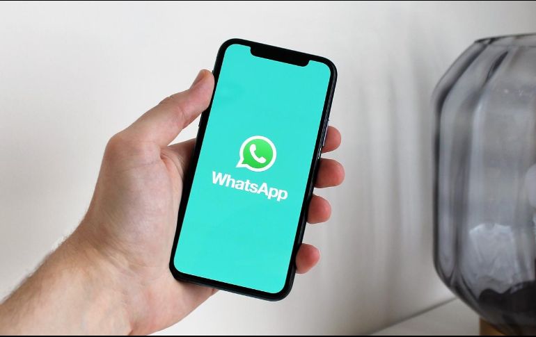 Ahora es más sencillo digitalizar tus identificaciones, el CURP, acta de nacimiento o tu licencia de conducir con WhatsApp. Pixabay