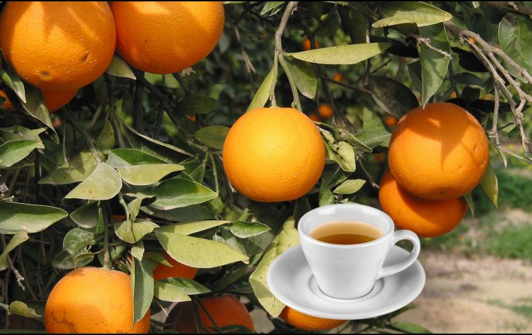 Uno de los principales usos del té de hojas de naranjo es como un remedio natural para combatir el estrés. ESPECIAL / CANVA