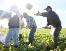 En Estados Unidos hay un total de 38.4 millones de mexicanos, de los que 11.5 millones son migrantes de primera generación, incluyendo a los indocumentados. AFP / ARCHIVO