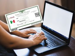 En México, para la realización de la mayoría de los trámites oficiales, las personas deben presentar la Clave Única de Registro de Población. ESPECIAL / CANVA