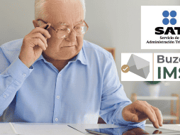 El sistema es completamente opcional y su principal función es mejorar la interacción entre el IMSS y los beneficiarios.  CANVA