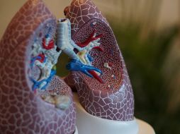 El orégano, el tomillo y la salvia son hierbas beneficiosas para la salud de tus pulmones. Unsplash