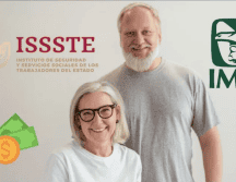 Este apoyo puede servir para mitigar los gastos decembrinos. Pexels / Canva