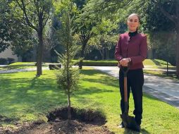 A través de un video publicado en redes sociales, Sheinbaum Pardo aseguró que 