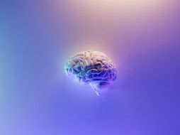 La memoria es una de las cosas más valiosas con las que cuenta el ser humano. ESPECIAL/ Foto de Milad Fakurian en Unsplash