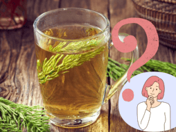 La cola de caballo ha sido usada por muchas personas tanto en la cocina como en la medicina tradicional para diversas finalidades, y el día de hoy en EL INFORMADOR te las compartimos. ESPECIAL/ CANVA
