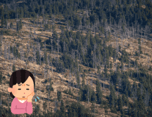 El cambio de uso de la tierra y la pérdida de hábitat están provocando que estos bosques desaparezcan. Pixabay