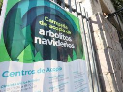 El objetivo de la campaña es que los pinos naturales, que durante las fiestas adornaron los hogares tapatíos, sean aprovechados y reciclados.