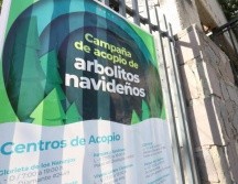 El objetivo de la campaña es que los pinos naturales, que durante las fiestas adornaron los hogares tapatíos, sean aprovechados y reciclados.