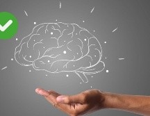 Los científicos afirman que los cerebros con un aspecto más viejo se asocian a accidentes cerebrovasculares, inactividad física y diabetes, por lo que recomiendan estos hábitos para mejorar la salud vascular y beneficiar a este órgano.ESPECIAL/Pixabay y Canva
