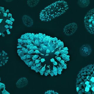 Esto es lo que debes saber sobre el metapneumovirus que ronda China