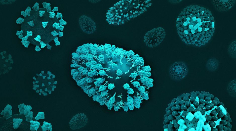 La sintomatología es la misma que la de una infección respiratoria leve. ESPECIAL / UNSPLASH National Institute of Allergy and Infectious Diseases