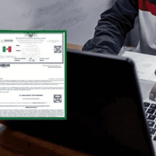 Todo lo que debes saber sobre la CURP en 2025